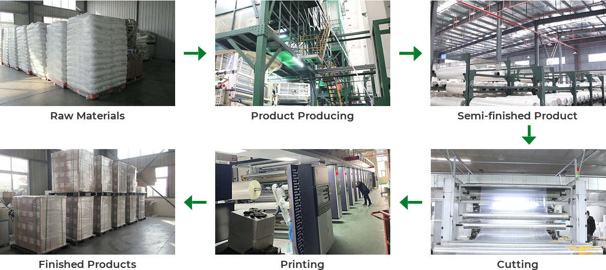 packaging amet productionem processus